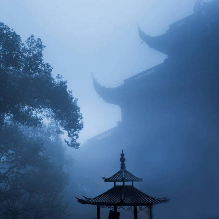 苍井优（饰 高荷惠） - 天堂视频在线观看1 - 小程序看电影